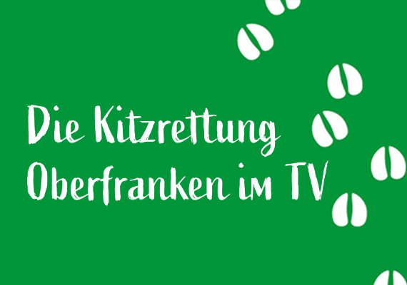 Die Kitzrettung bei TVO