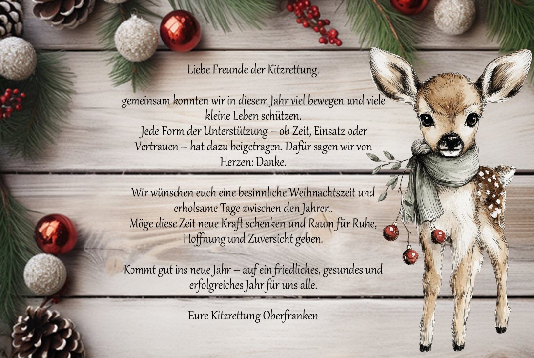 Weihnachtsgrüße 2025