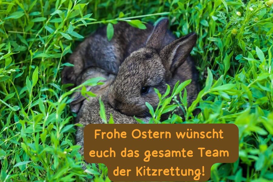 Ostergrüße 2026